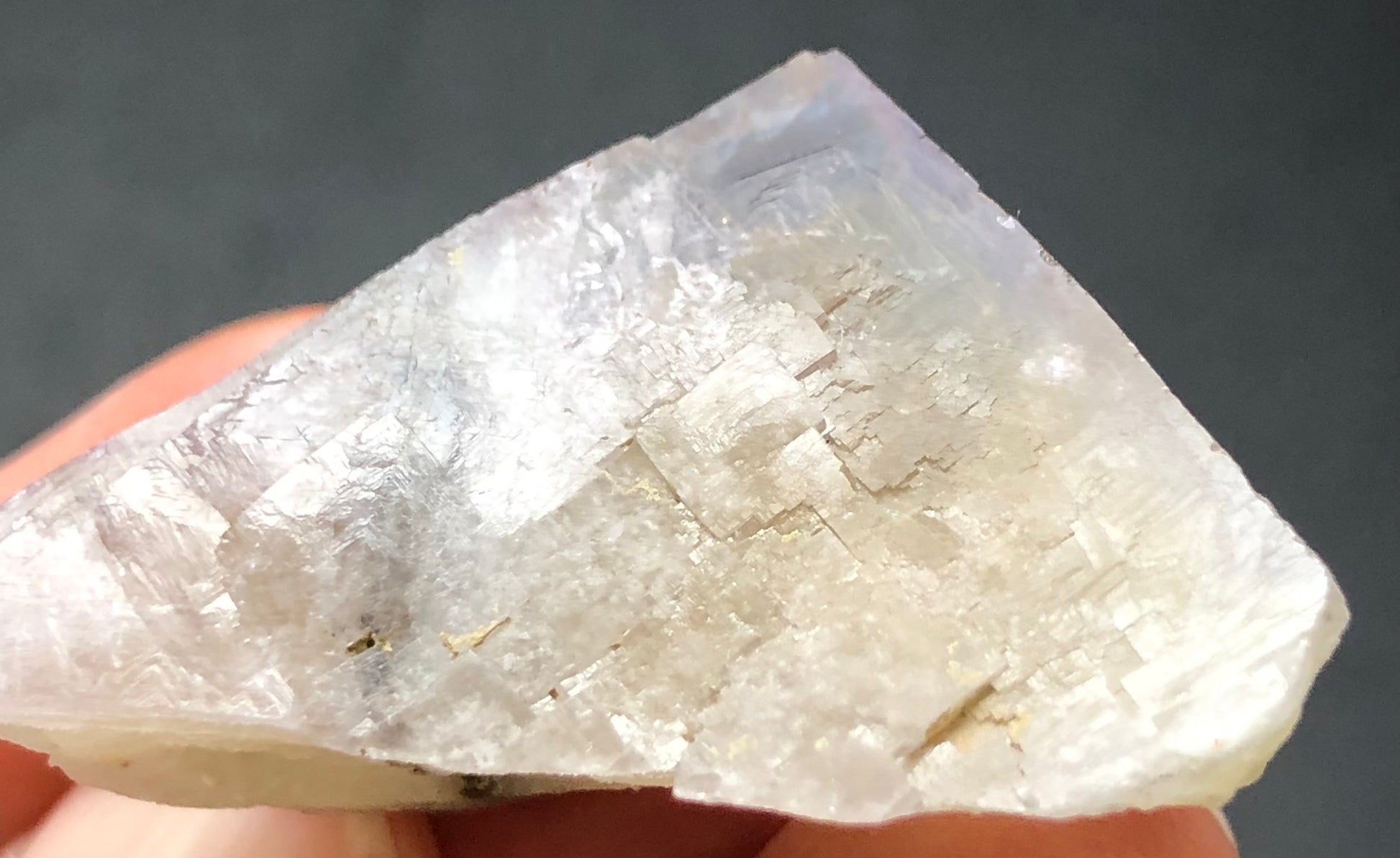 Close-up of a hand holding The Crystalary's AUCTION- Fluorite from Cromwell Pocket, showcasing its light pink hue and purple exterior zoning with a glossy finish, visible internal fractures, and intricate patterns against a plain dark background.