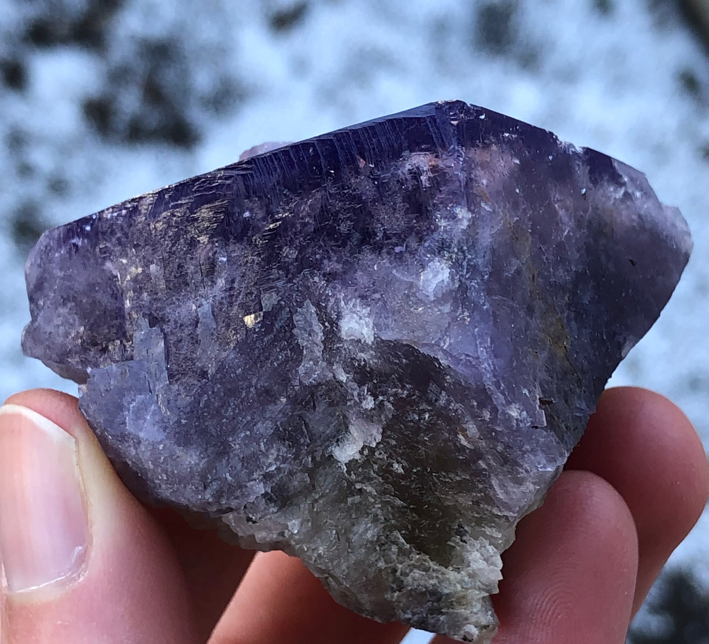 A close-up shows a hand holding The Crystalary's AUCTION-Fluorite from Cromwell Pocket, Greenlaws Mine. Its textured facets and deep coloration are emphasized against a blurred background, revealing its daylight color-changing qualities.