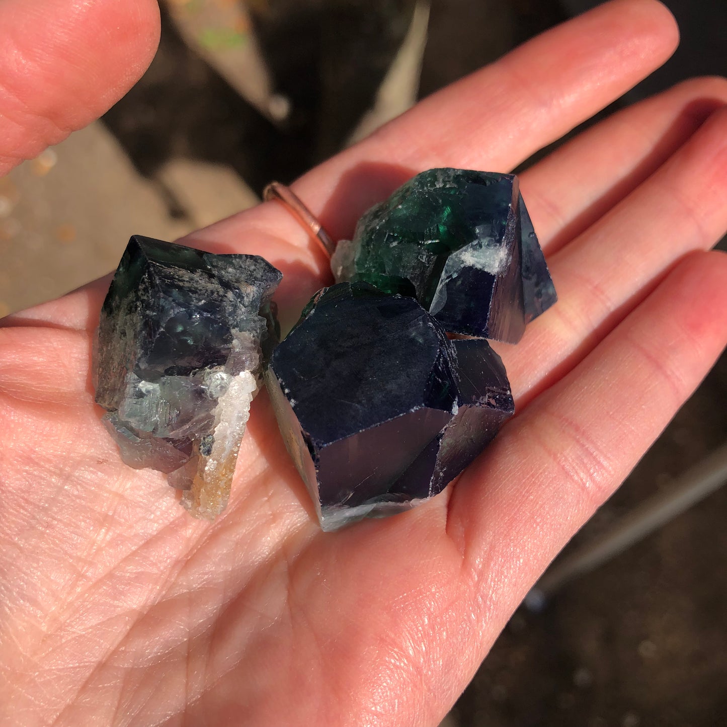 A hand holds three dark-colored mineral crystals, their sharp, faceted edges gleaming. Among them, a piece from The Crystalary's AUCTION selection—Fluorite from the Diana Maria Mine in Frosterly Weardale Co., Durham, England—catches the sunlight and casts subtle reflections with its deep green hues intertwined with shades of blue and purple.