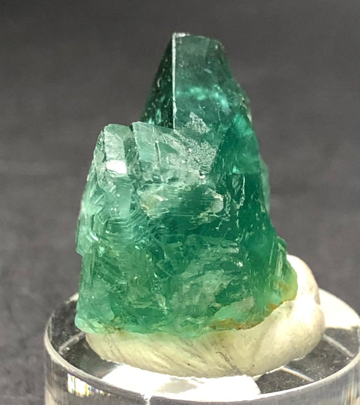 AUCTION- Fluorite- 50 Year Pocket, Rogerly Quarry, Stanhope, County Durham, England