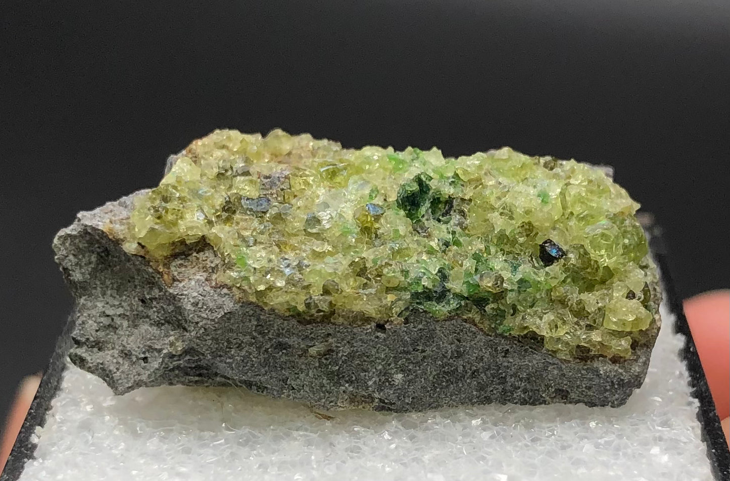 The Crystalary presents a detailed view of the AUCTION - Peridot rock, featuring a gray base adorned with glistening peridot micro-crystals. This exquisite piece, showcasing the natural splendor of Arizona's San Carlos Indian Reservation, is elegantly set on a white textured surface against a plain black background.