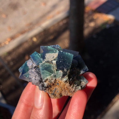 AUCTION- Fluorite- Greedy Hog Pocket, Diana Marie Mine, Frosterly, Weardale, Co. Durham, England