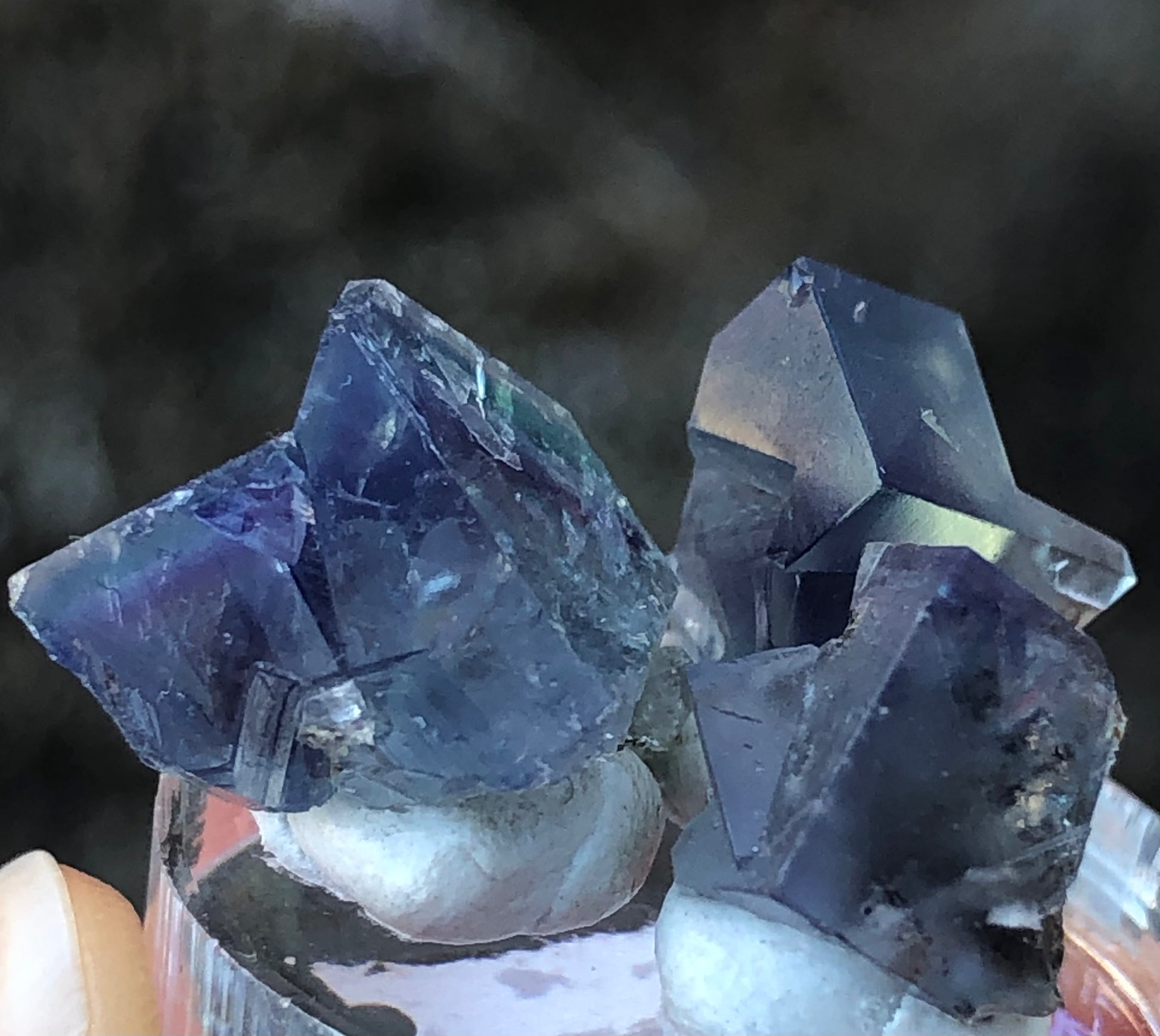 Close-up of three dark purple fluorite cubes with sharp edges from the Rainbow's End Pocket, Lady Annabella mine by The Crystalary. Resting on a clear surface, the blurred background highlights their texture and color variations.