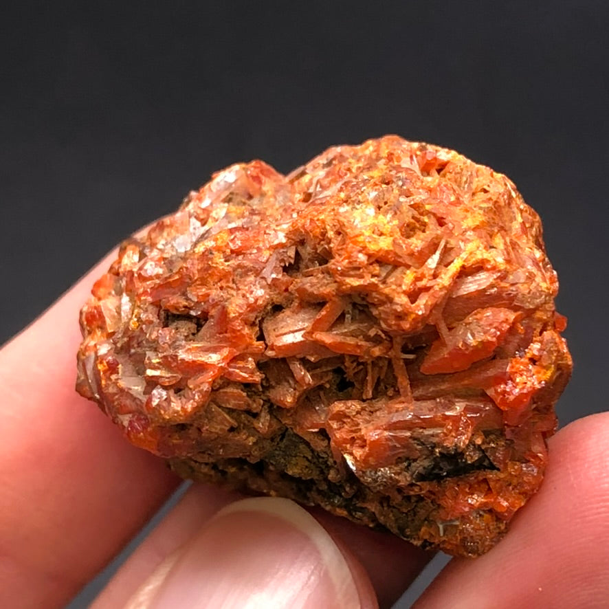 AUCTION- Crocoite- West Comet Mine, Dundas, Tasmania