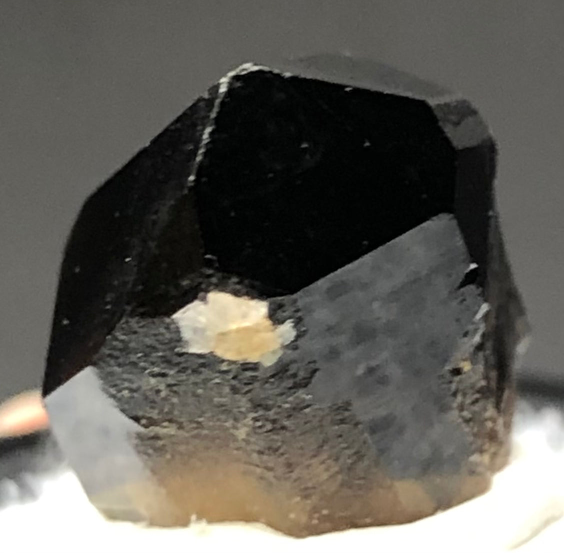 A close-up shot reveals a shiny, hexagonally shaped AUCTION- Smoky Quartz from The Crystalary, sourced from Mount Malosa, Zomba, Southern Region, Malawi. Resting on a light surface, the crystal's facets reflect light beautifully and display a glossy texture with some beige-toned surface imperfections.