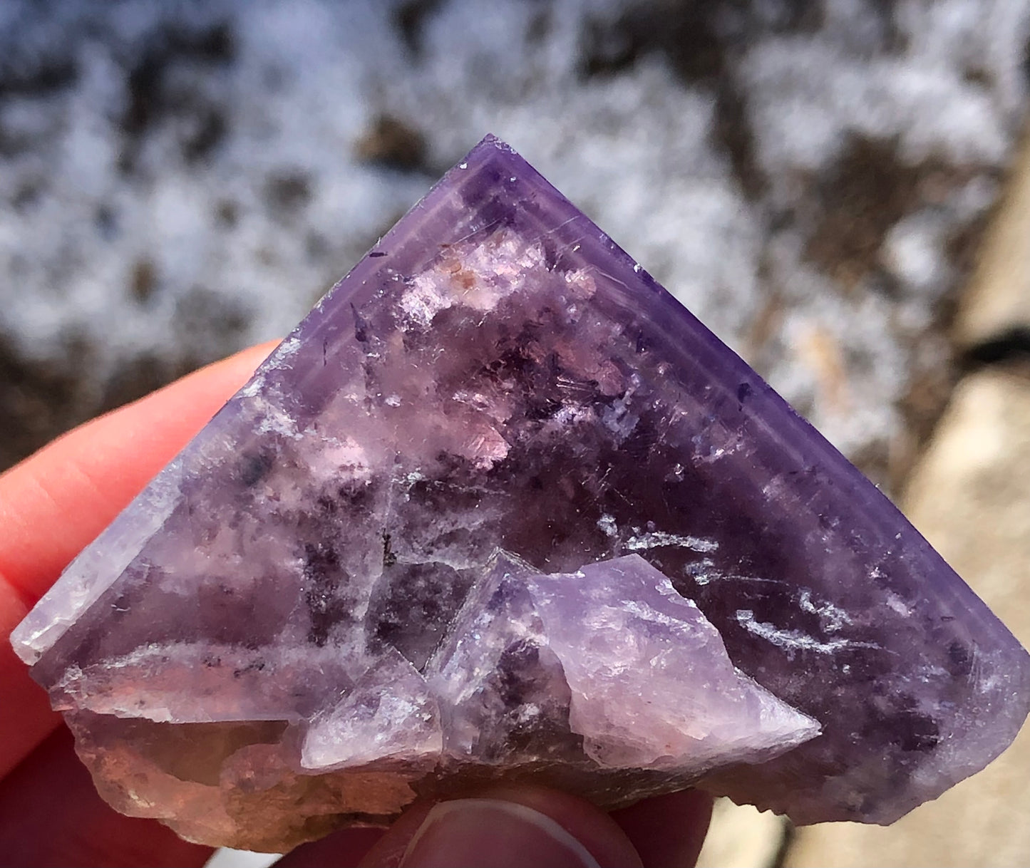 A hand holds a large triangular fluorite crystal against a blurred outdoor background. This natural piece from The Crystalary exhibits daylight color-changing translucency, showcasing shades of purple with white and translucent areas, revealing its unique texture and facets.