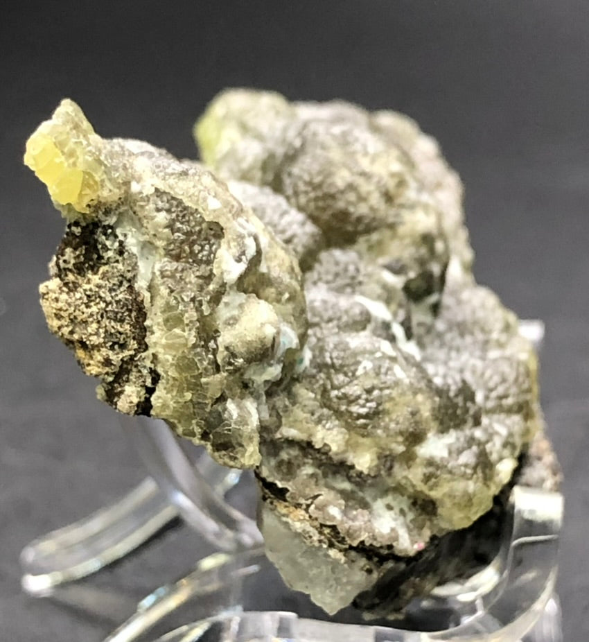 A close-up of The Crystalary's AUCTION- Smithsonite var. Cuprian from the 79 Mine in Chilito, Hayden area, Banner Mining District, Gila County, Arizona, USA, elegantly perched on a clear display stand. The mineral's textured surface exhibits varying shades of green and brown against a plain dark background, highlighting the intricate details of its formation.