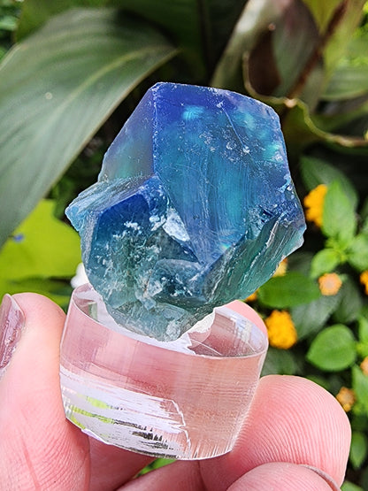 Fluorite- Excavator Terminator, Lady Annabella, Co. Durham, England