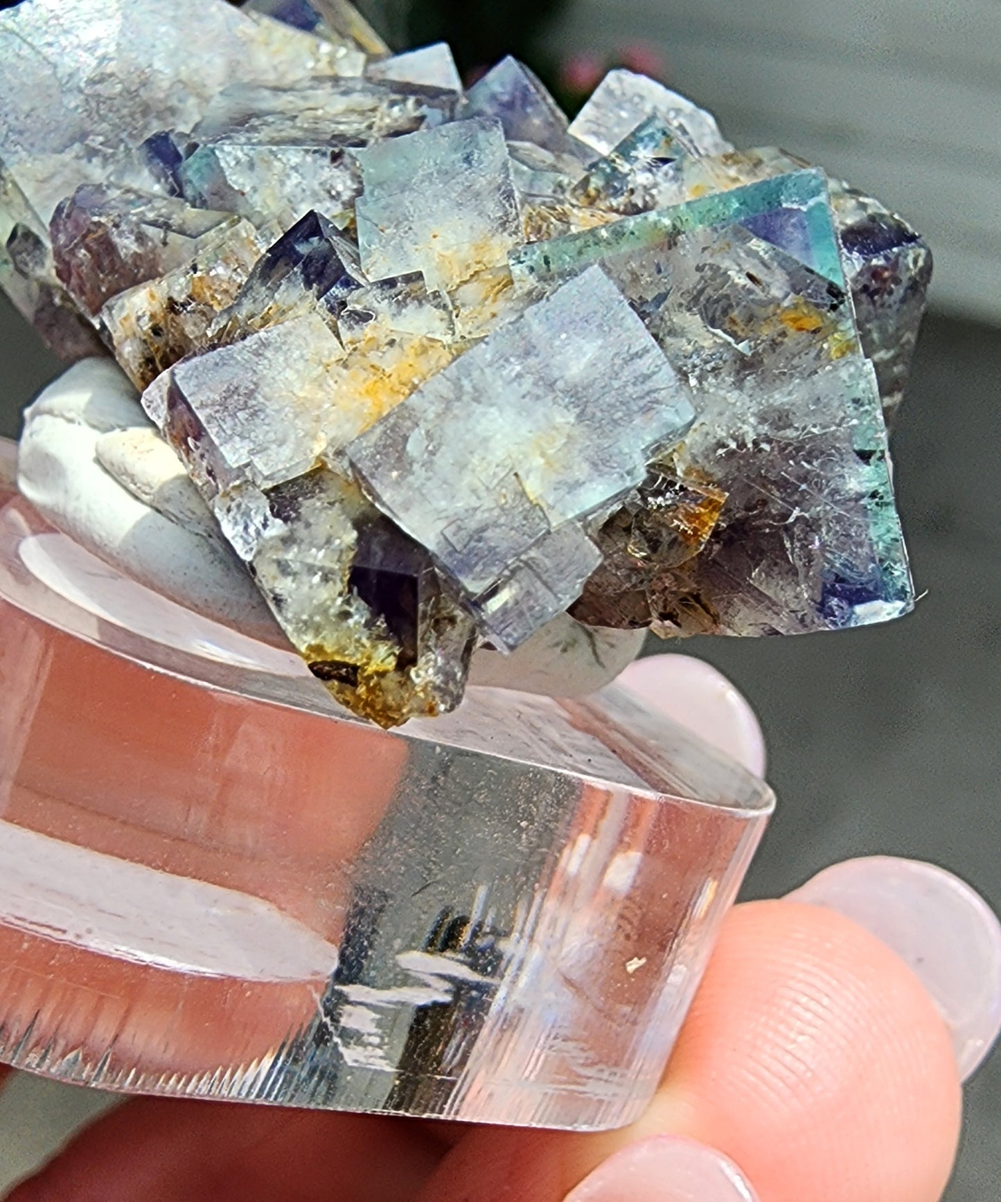 Fluorite Miniature-Hidden Forest Pocket, Diana Maria Mine, Frosterly Weardale, Co. Durham,  England