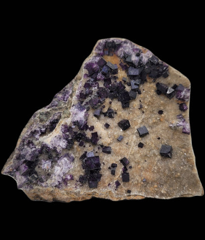 The Crystalary's Fluorite from Highway 17 Roadcut, Yesno Township (sku 814) displays dark purple fluorite clusters on an uneven black surface, with varied purple and brown hues enhancing its natural beauty.