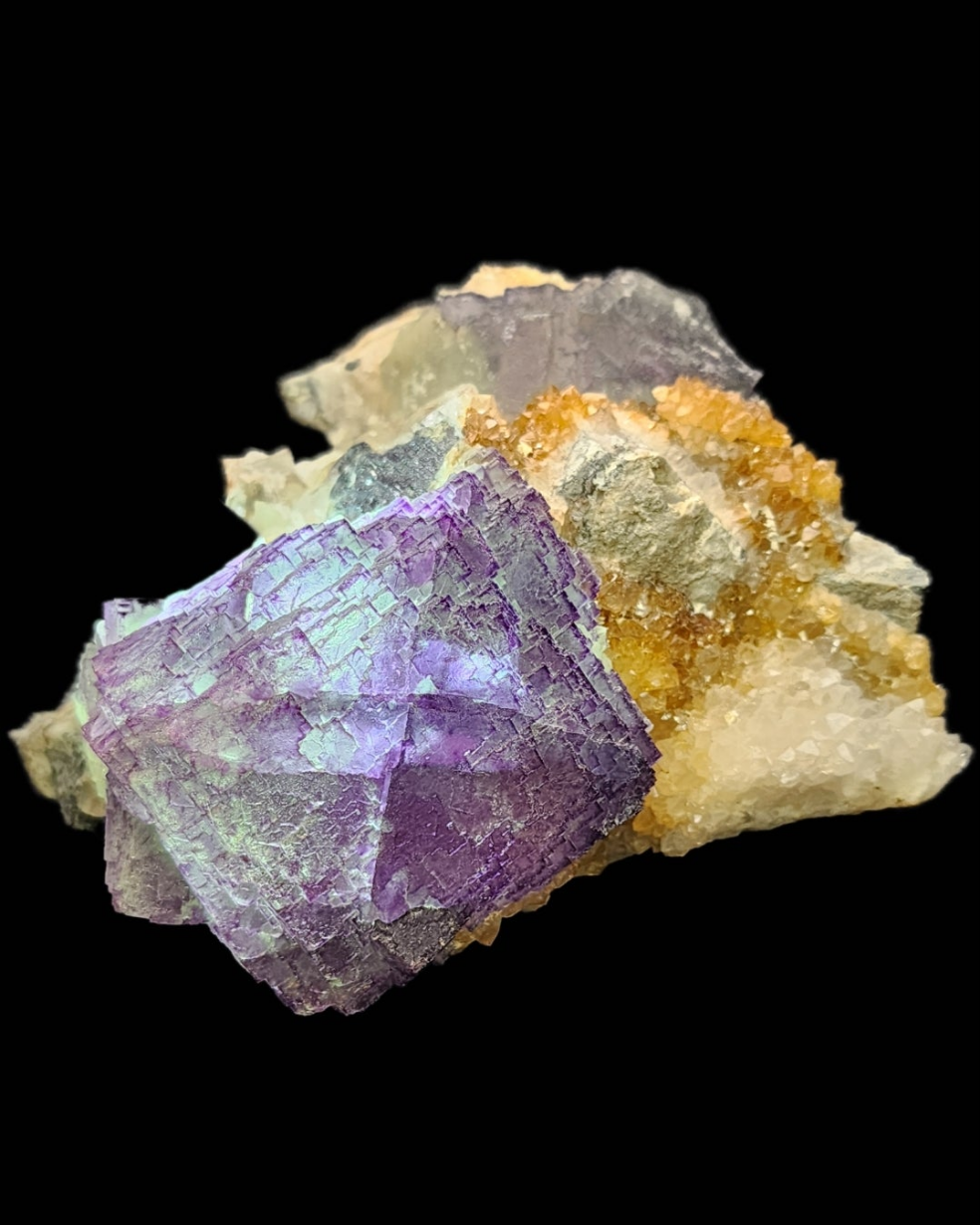 A dynamic Fluorite- Ice Cream Igloo Pocket specimen from The Crystalary, featuring purple cubic crystals that echo the history of US fluorite. This piece boasts iridescent hues surrounded by clusters of golden and white crystalline formations contrasted against a dark backdrop, sourced from Bingham, Hansonburg District, Socorro County, New Mexico, USA. (SKU: 3259)