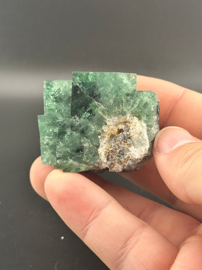 In a LIVE- AutisticMedium- 12/5/24 from The Crystalary, a hand displays green fluorite crystals featuring stepped cubic forms with Canadian apatite inclusions, set against a dark background.