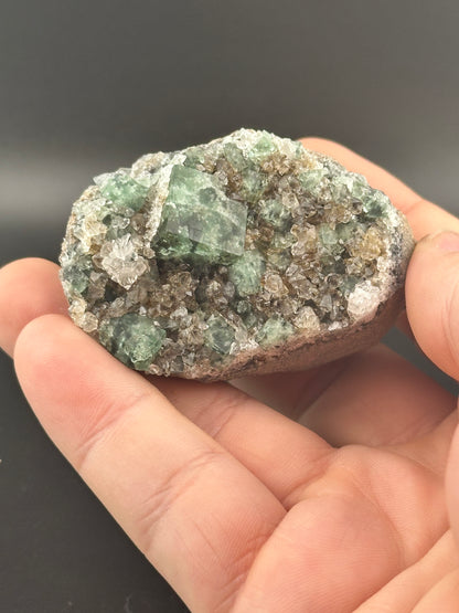 A hand displays The Crystalary's LIVE-AutisticMedium-12/5/24 specimen featuring captivating green and brown Canadian Apatite crystals on a grey base, set against a dark neutral background.