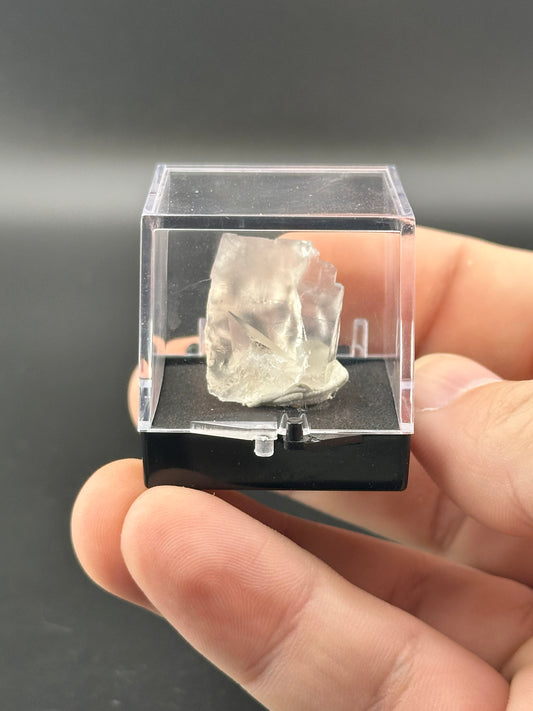 A LIVE-LizzieWolf-12/14/24 clear quartz crystal by The Crystalary is displayed in a small transparent box between a person's fingers, unpolished on a black base, against a neutral background.