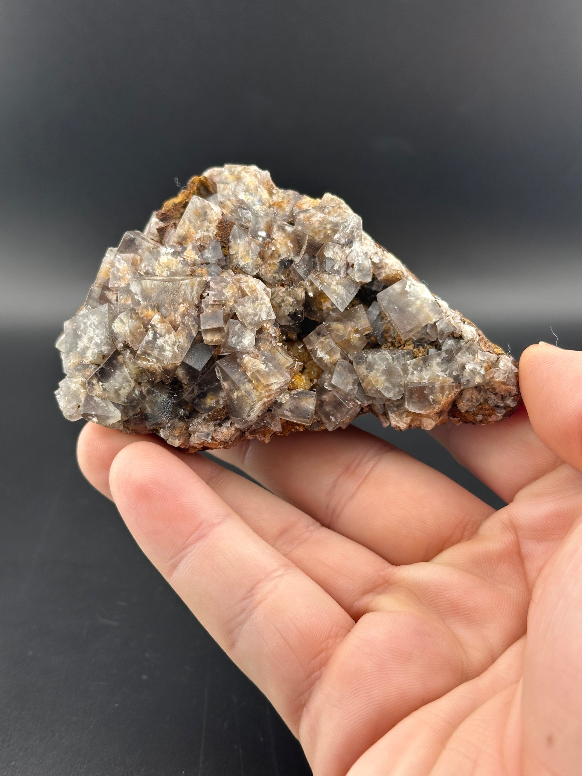 A hand showcases clear hexagonal quartz crystals from The Crystalary's LIVE- InkedAndNerdy- 12/19/24 product, set against a black background. The irregularly shaped crystals have a slight brown tint at their base.