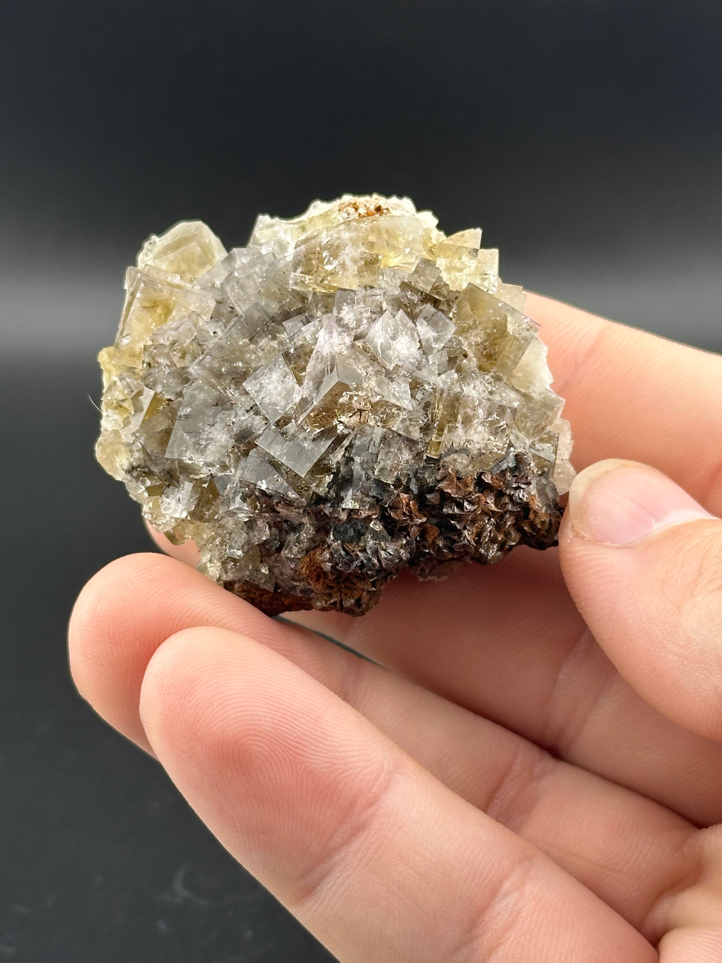 A hand holds a cluster of translucent, cubic crystals from the River Catcher Pocket with a brown, textured base. The crystals reflect light, showing clear to pale hues against a dark background. Product: LIVE- InkedAndNerdy- 12/19/24 by The Crystalary.