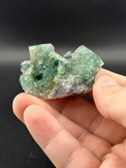 A hand displays The Crystalary's LIVE- Winzalite- 12/19/24, a translucent green fluorite mineral cluster with cubic formations and raw, uneven surfaces against a dark background.