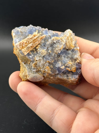 A hand displays a LIVE-Winzalite specimen from The Crystalary, featuring blue and brown crystals. Its rough texture contrasts strikingly against the black background, highlighting its mesmerizing beauty.