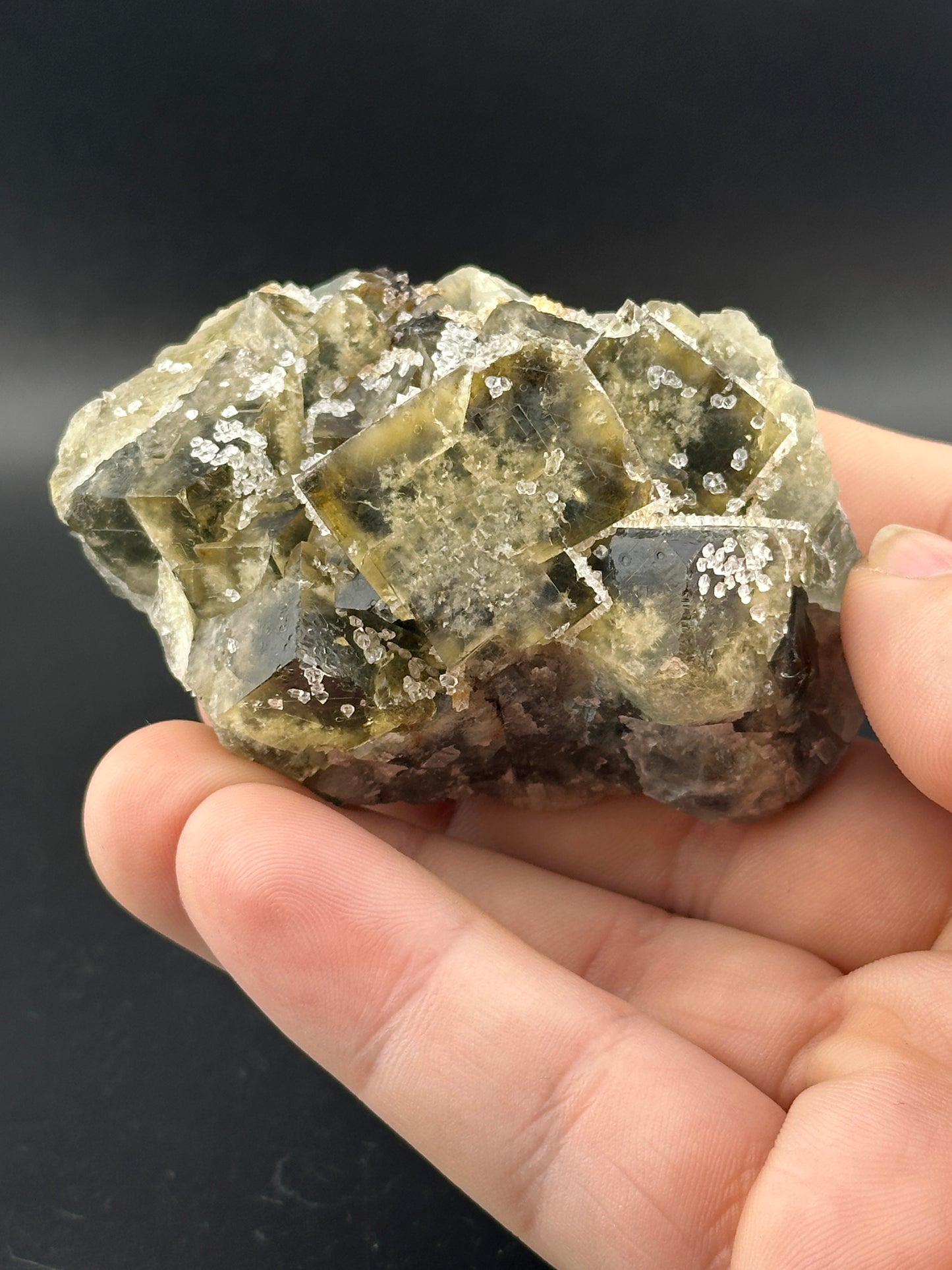 A hand displays a cubic pyrite crystal cluster from The Crystalary against a dark backdrop. Its metallic sheen gleams like gilded Midnight Oil, with intricately arranged surfaces reflecting light in shiny bursts. Available as LIVE- rob.kowalski- 12/19/24.