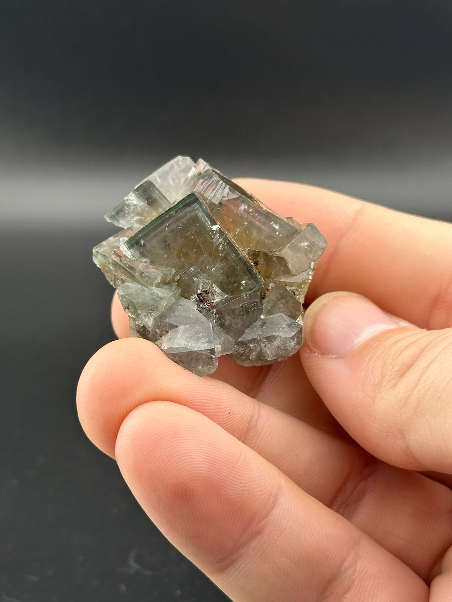 In a hand, The Crystalary presents LIVE- rob.kowalski- 12/19/24: a pocket bundle of pale green, transparent crystals with a rough texture. Their angular geometry gleams against the dark backdrop, exuding an intrinsic value that feels priceless yet might be valued at $800.