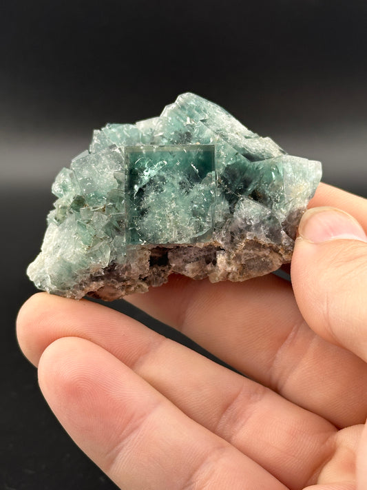 A hand displays a raw green fluorite crystal with cubic formations against a dark background, highlighting nature's art. Priced at $100, this unique piece, titled LIVE- AlonsoZ- 12/19/24, is offered by The Crystalary for its vibrant hues and mystical charm.