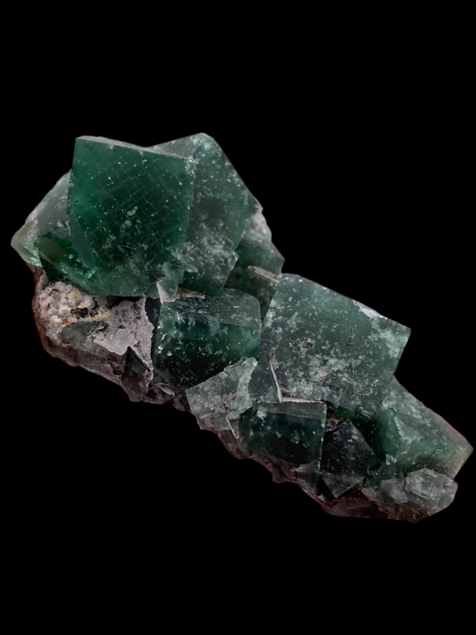 A close-up shot of dark green fluorite cubes with a crystalline structure against a black background. The Fluorite- Greedy Hog pocket, sourced from the Diana Maria Mine in Co Durham and offered by The Crystalary, features multiple translucent cube-like formations with rough edges and a slightly weathered appearance.