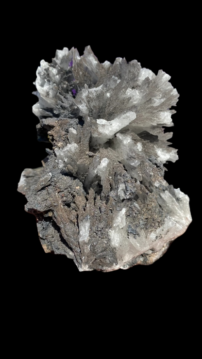 A hand holds a Celestine specimen from The Crystalary, sourced from the N'Chwaning II Mine in South Africa, showcasing spiky gray and white crystalline formations illuminated by sunlight. The blurred background features green and purple hues, likely outdoor elements.