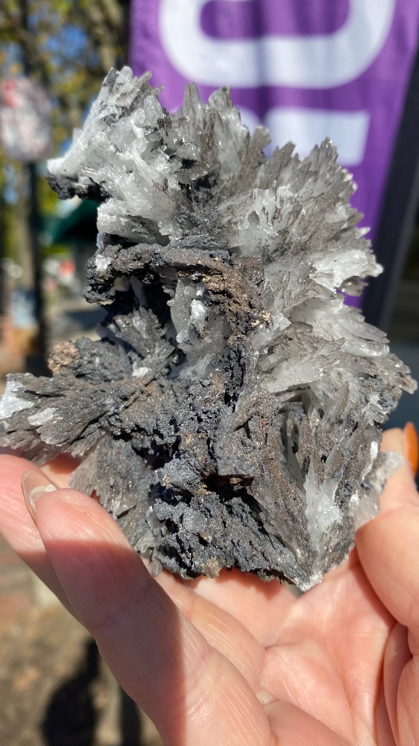 A hand holds a jagged piece of Celestine with intricate formations in shades of gray and white, akin to those from The Crystalary's collection at the N'Chwaning II Mine. The background is slightly blurred with hints of green and purple.