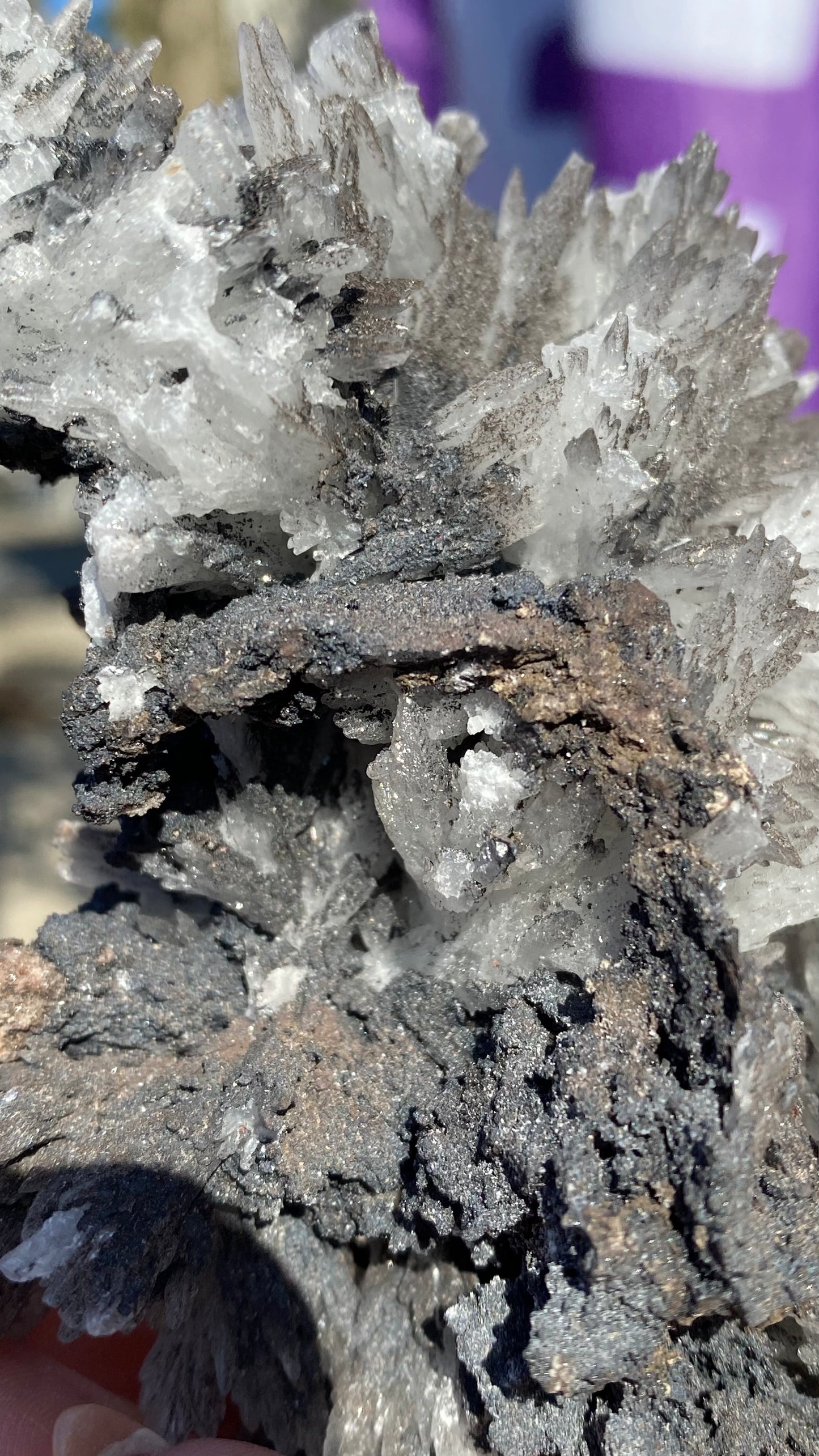 Close-up of a mineral cluster highlighting sharp, white crystalline formations of celestine from The Crystalary, interspersed with rough, dark gray and black textured surfaces. Sourced from the renowned N'Chwaning II Mine in South Africa (sku3004), these minerals catch the light beautifully, showcasing their jagged and intricate structures.