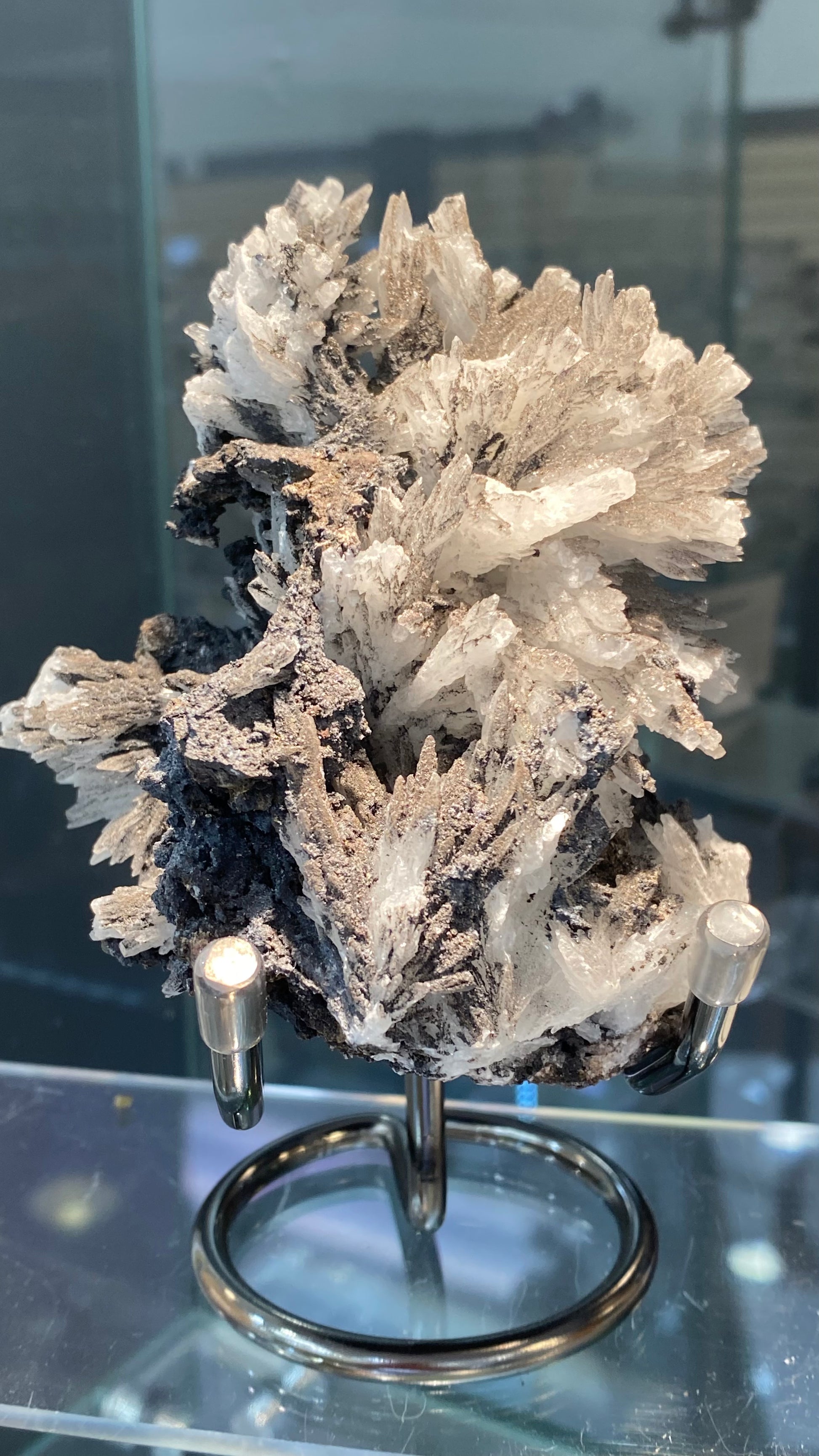 An impressive display of the Celestine mineral specimen from The Crystalary showcases white and gray crystal formations that resemble delicate spikes. Mounted on a metal stand, this piece from the N'Chwaning II Mine is beautifully set against a blurred background, evoking an ethereal quality.