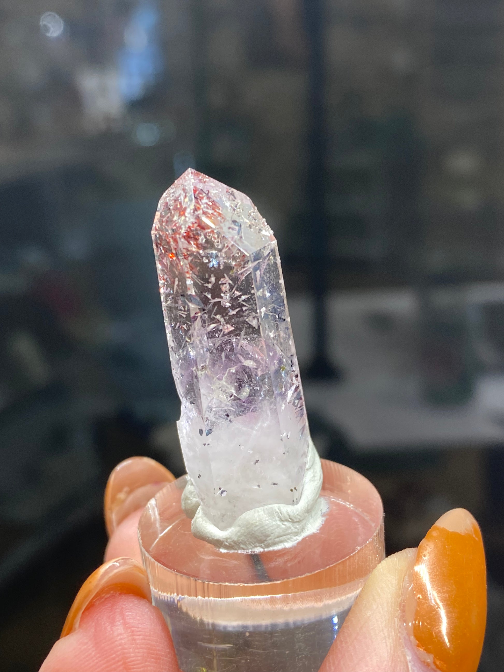 A Harlequin Quartz crystal from The Crystalary, featuring Quartz, Lepidocrocite, Hematite, and Analcime from Streep Mine in Goboboseb, Namibia (sku3006), with a pointed tip stands against a blurred background. This remarkable crystal is embedded with reddish hematite inclusions and is held upright by a small stand supported by a hand with painted nails.