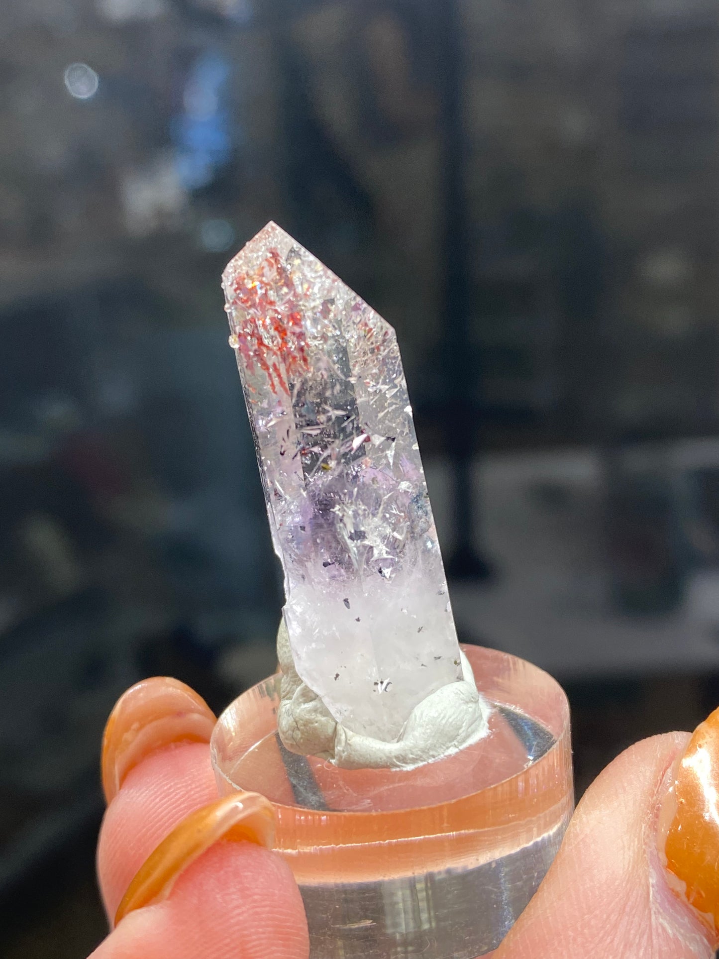 A hand holds a small "Harlequin Quartz" from The Crystalary, featuring clear quartz with hematite inclusions in shades of purple and red. Mounted on a tiny base, this captivating piece from the Streep Mine in Goboboseb, Namibia (sku3006) takes center stage against a blurred background, drawing all attention to its mesmerizing details.