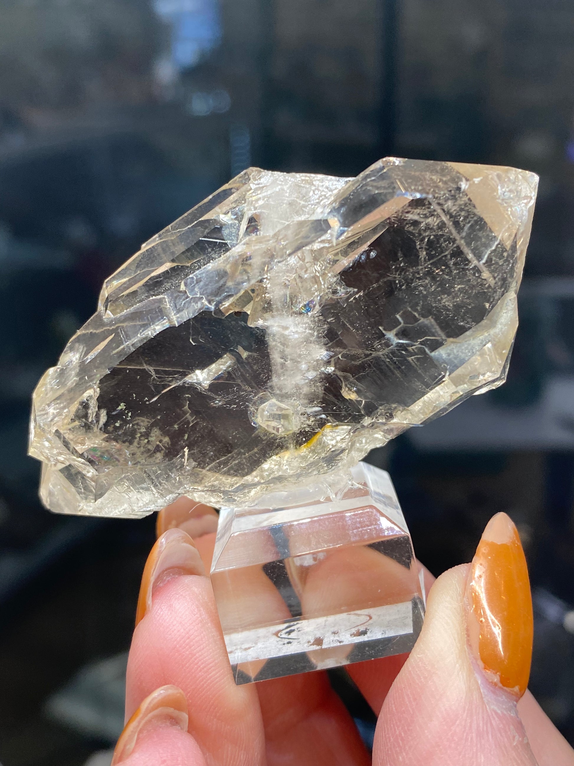 A person with long, manicured nails holds a large, faceted clear crystal from The Crystalary—a stunning Quartz, var. Faden—from the Mont Blanc Massif northwest flank in Auvergne-Rhône-Alpes, France (sku3008), displayed on a small transparent stand against a blurred dark background reminiscent of its majestic origin.