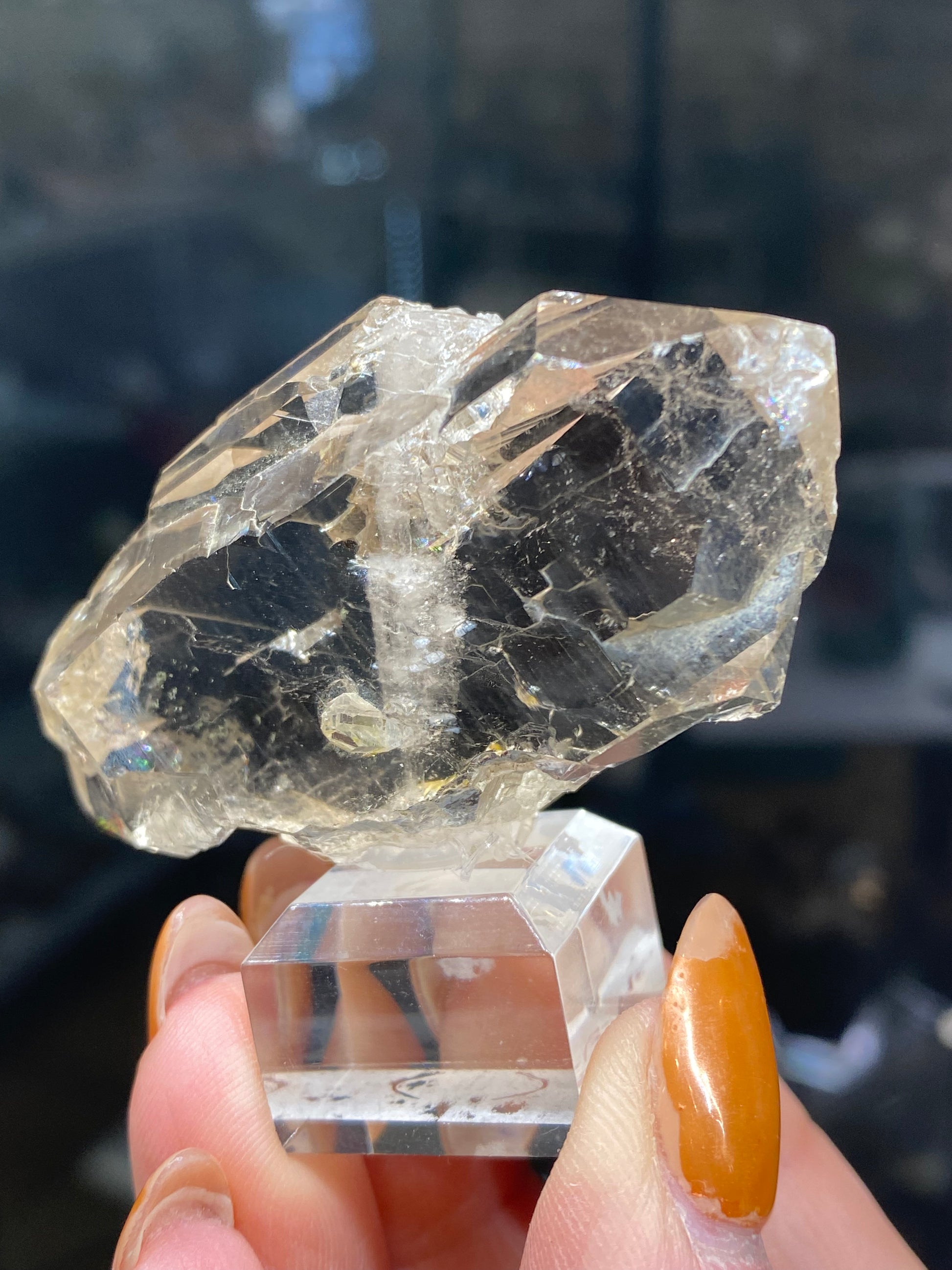 A close-up shot features a hand holding an angular, translucent Faden Quartz crystal from The Crystalary’s Quartz, var. Faden-Mont Blanc Massif northwest flank collection (sku3008). It rests on a clear display stand against a softly blurred background that accentuates the crystal's intricate details and natural shine. The long, brownish-orange nails of the fingers evoke the beauty of Auvergne-Rhône-Alpes, France.