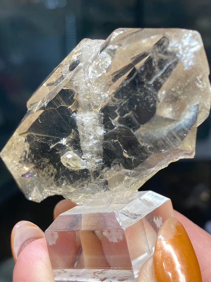 A close-up shot features a hand holding a substantial Faden Quartz crystal, showcasing its visible facets and refractions. The Quartz, var. Faden - Mont Blanc Massif northwest flank from Auvergne-Rhône-Alpes, France (sku3008) by The Crystalary is elegantly displayed on a transparent stand. The lighting accentuates the crystal's intricate details and natural imperfections, reminiscent of the stunning geological formations found in the Mont Blanc Massif.