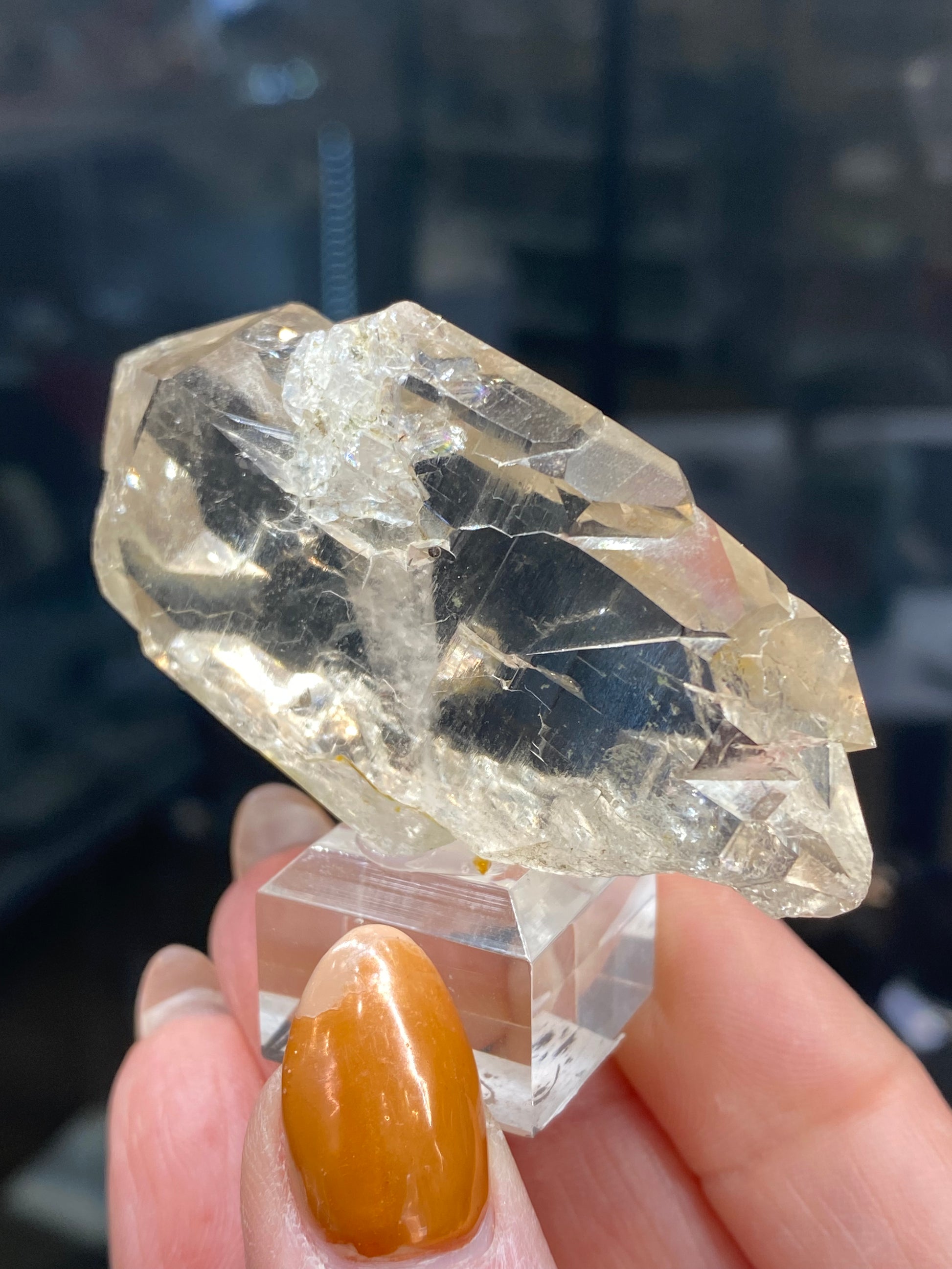 A hand holding a large Faden quartz crystal from The Crystalary, mounted on a small transparent stand. The background is blurred, highlighting the intricate facets and clarity of the Quartz, var. Faden from Mont Blanc Massif northwest flank in Auvergne-Rhône-Alpes, France (sku3008). The person's nails are painted a glossy brown that subtly complements this exquisite piece.