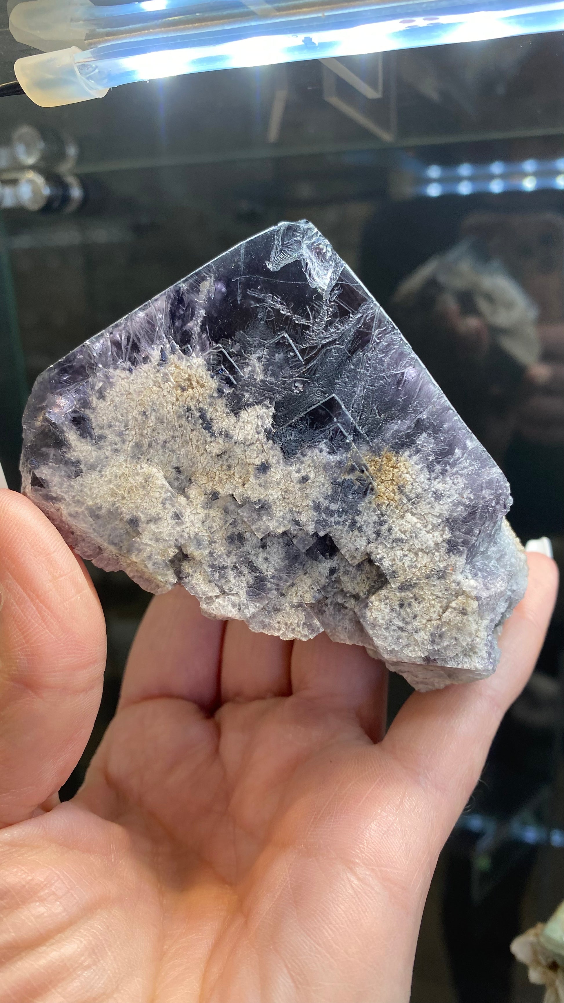 A close-up of a hand holding a triangular piece of amethyst rock with deep purple and light-colored crystals, reminiscent of treasures from the Lady Annabella Mine. Displayed under bright lighting, its texture and colors shimmer like The Crystalary's Fluorite- Purple Rain Pocket, SKU 3020, from the Lady Annabella Mine in Eastgate, Weardale, Co. Durham, England.