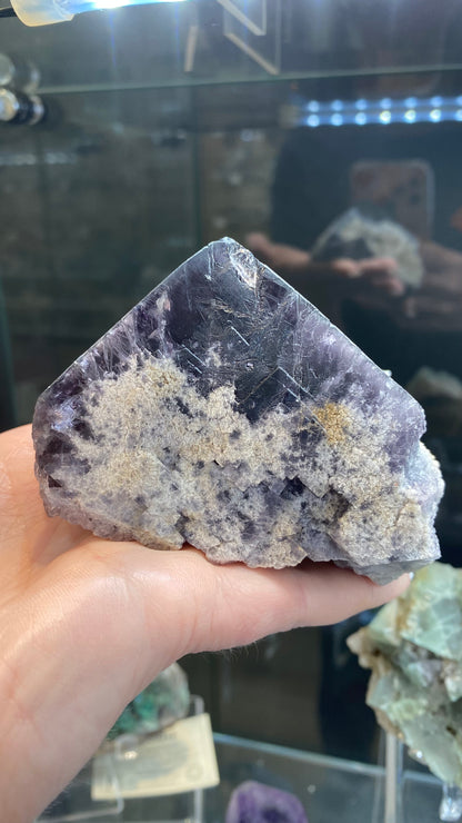 A hand holds a Fluorite crystal from the Purple Rain Pocket, Lady Annabella Mine, exuding shades of purple alongside white and gray inclusions. The background reveals a glass display cabinet reflecting various mineral specimens. Available from The Crystalary.