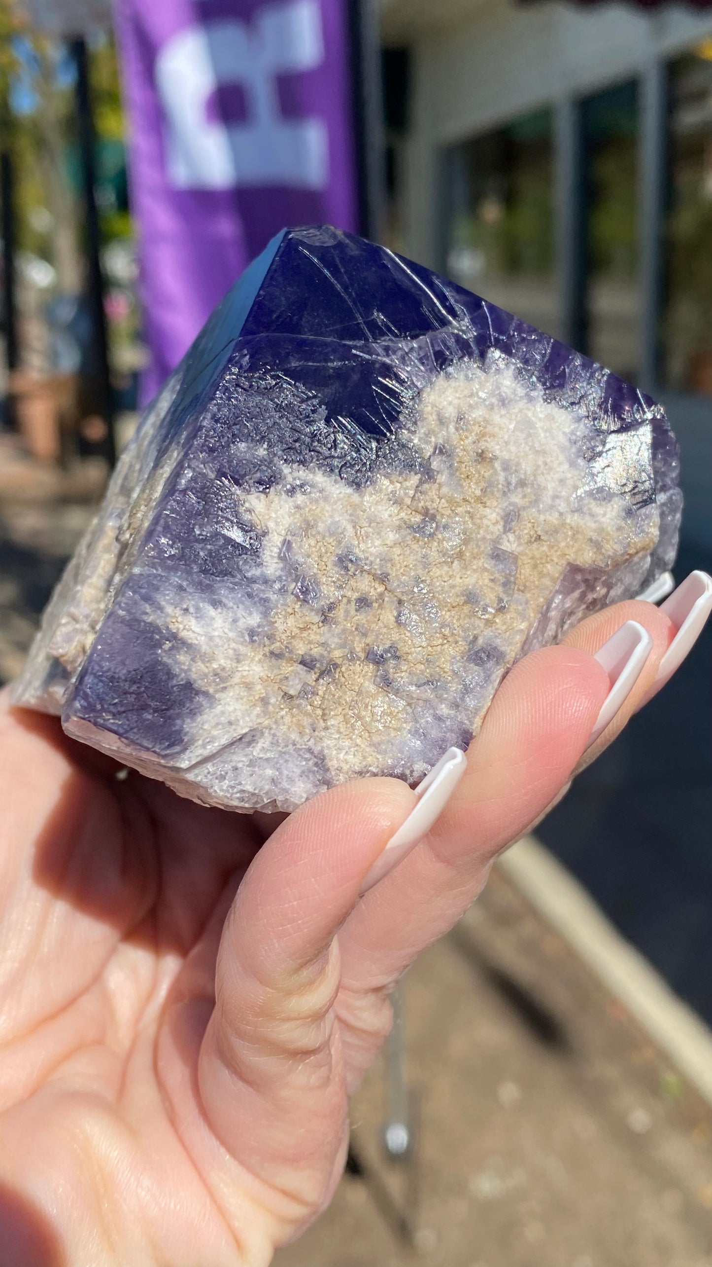 A hand with long nails holds a large, deep purple fluorite crystal from The Crystalary's Purple Rain Pocket collection, its clusters of tan and white minerals shimmering in the sunlight. A purple flag and a building are blurred in the background, evoking stories from the legendary Lady Annabella Mine in Eastgate, Weardale.