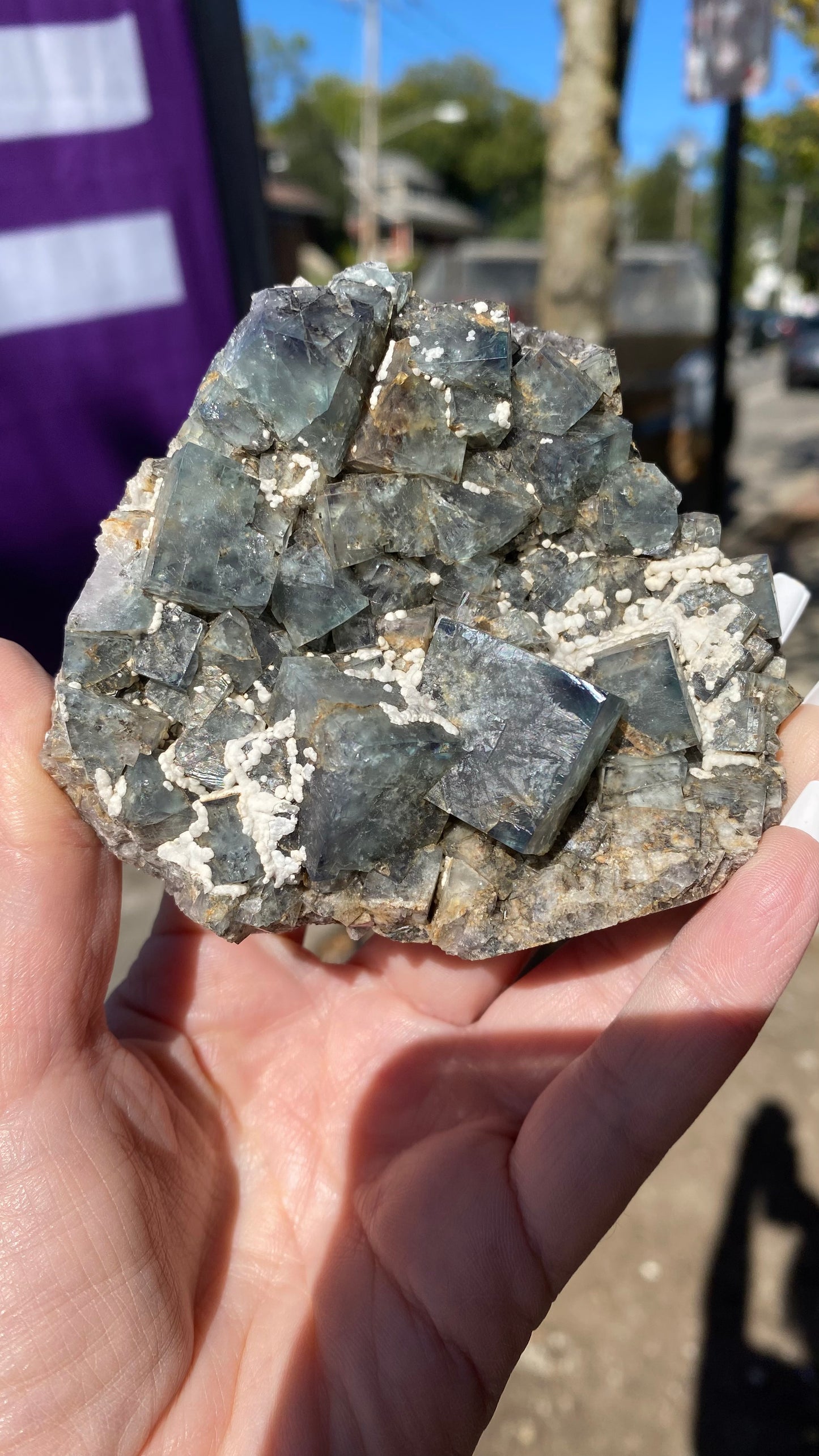 A hand holds a rough Fluorite specimen from The Crystalary, showcasing bluish-gray cubic crystals with small white calcite deposits. This piece, likely sourced from the Fairy Holes Pocket at the Lady Annabella Mine in Eastgate, Weardale, Co. Durham, England (sku 3021), is set against an outdoor background with a blurred street and trees, evoking the feeling of exploring near a Fairy Holes pocket.