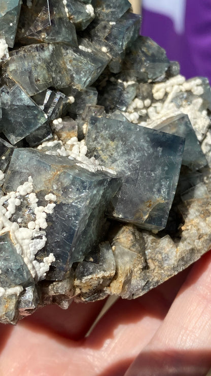 A hand holds a cluster of The Crystalary's Fluorite - Fairy Holes Pocket from the Lady Annabella Mine in Eastgate, Weardale, Co. Durham, England. This sku 3021 features deep blue cubic crystals with clear surfaces and is set on a rocky matrix with small white calcite deposits, reminiscent of the famed Fairy Holes pocket.