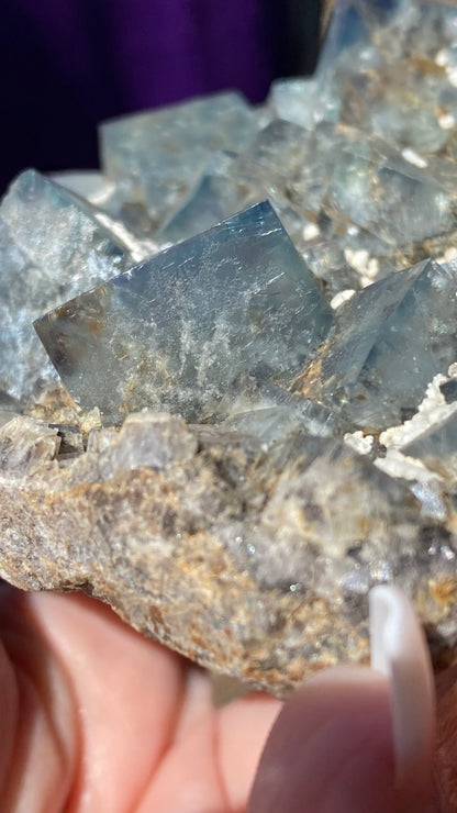 Close-up of a person's hand holding a rock with translucent, bluish fluorite crystal formations from the Fairy Holes Pocket, Lady Annabella Mine. The crystals exhibit a cubic shape, reflecting light and displaying intricate internal patterns, while the background is softly blurred. Product by The Crystalary (sku 3021).