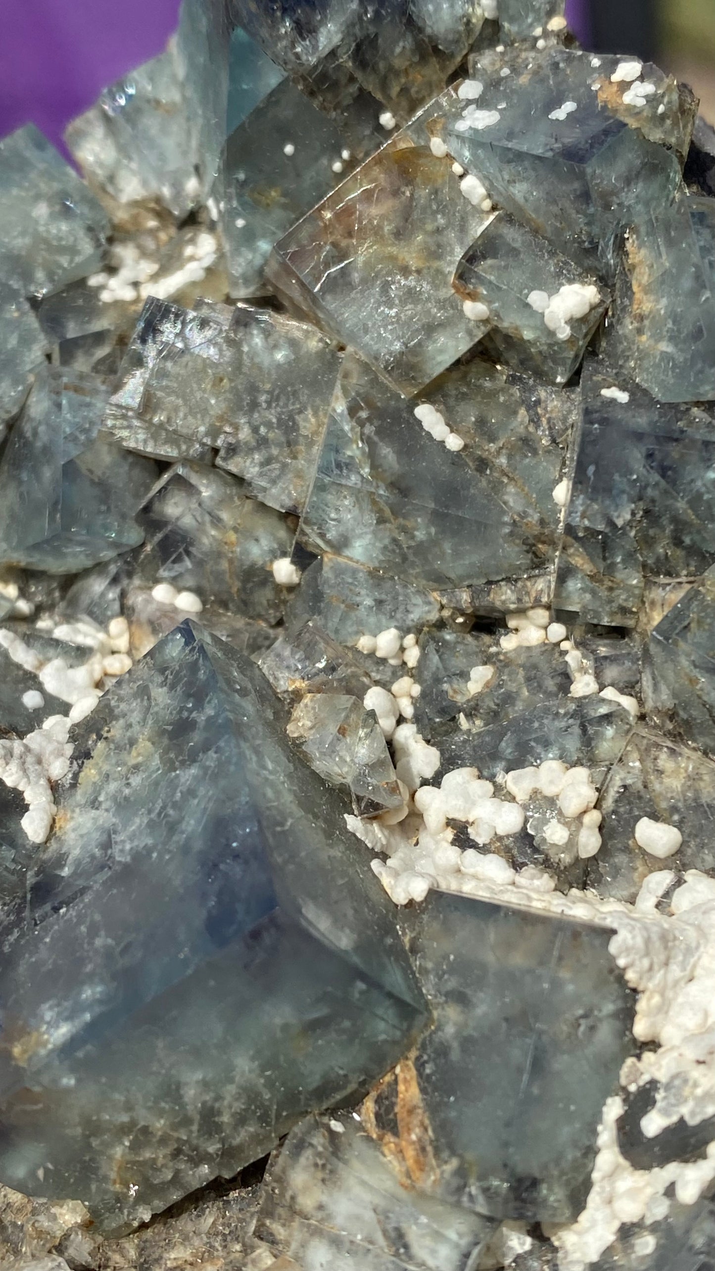 The Crystalary's Fluorite crystals, sourced from the Fairy Holes Pocket at the Lady Annabella Mine in Eastgate, Weardale, Co. Durham, England (sku 3021), feature a close-up view of blue-grey translucent cubes with scattered small calcite deposits on their glossy surfaces, reflecting light like hidden treasures.