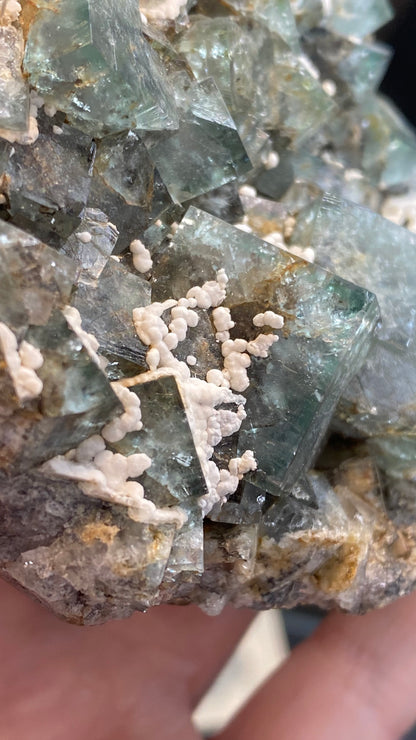 Close-up of The Crystalary's Fluorite- Fairy Holes Pocket from Lady Annabella Mine, Eastgate, Weardale, Co. Durham, England (SKU 3021), showcasing translucent greenish-blue cubic crystals interspersed with white, coral-like calcite formations. The shiny, reflective texture of the crystals contrasts strikingly against the rough white structures.