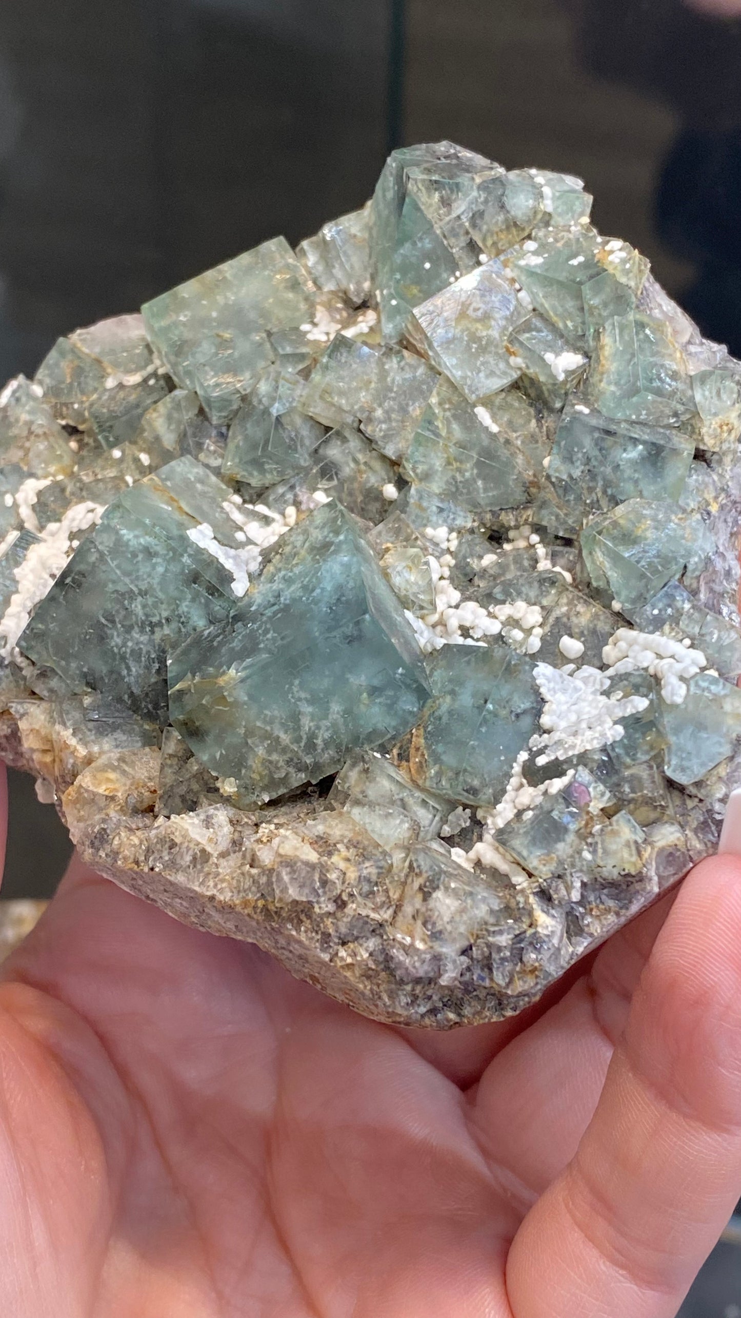 A hand holds a cluster of raw, green cubic crystals from The Crystalary's Fluorite collection sourced from the Fairy Holes Pocket at the Lady Annabella Mine in Eastgate, Weardale, Co. Durham, England (sku 3021), featuring small white calcite formations on a rough stone base.