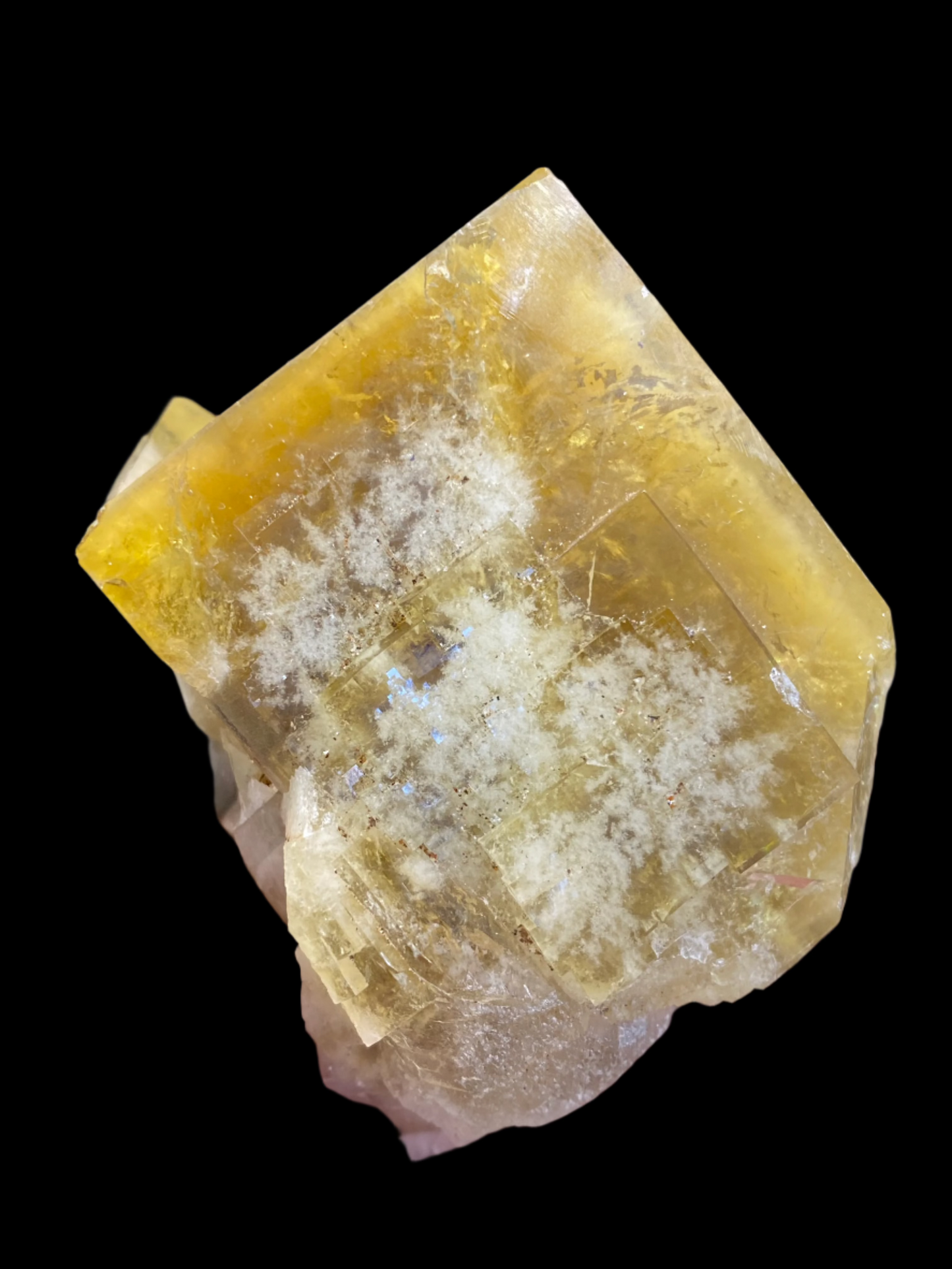 A close-up reveals a hand cradling the golden honey yellow Fluorite- Honey Bear Pocket mineral crystal from The Crystalary, its translucent surface adorned with geometric patterns and natural imperfections. Sourced from the Diana Maria Mine in Frosterley, Weardale, Co. Durham, England, this captivating gem stands out against a beautifully blurred background.