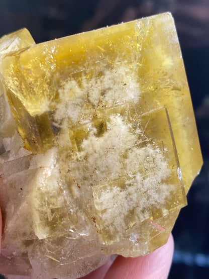 A close-up showcases a hand holding a translucent, golden honey yellow cubic crystal from The Crystalary's Fluorite- Honey Bear Pocket. This stunning piece features complex internal formations and cloudy inclusions. Sourced from the Diana Maria Mine in Frosterley, Weardale, Co. Durham, England (SKU 3023), its glassy surface reflects subtly against a dark backdrop.