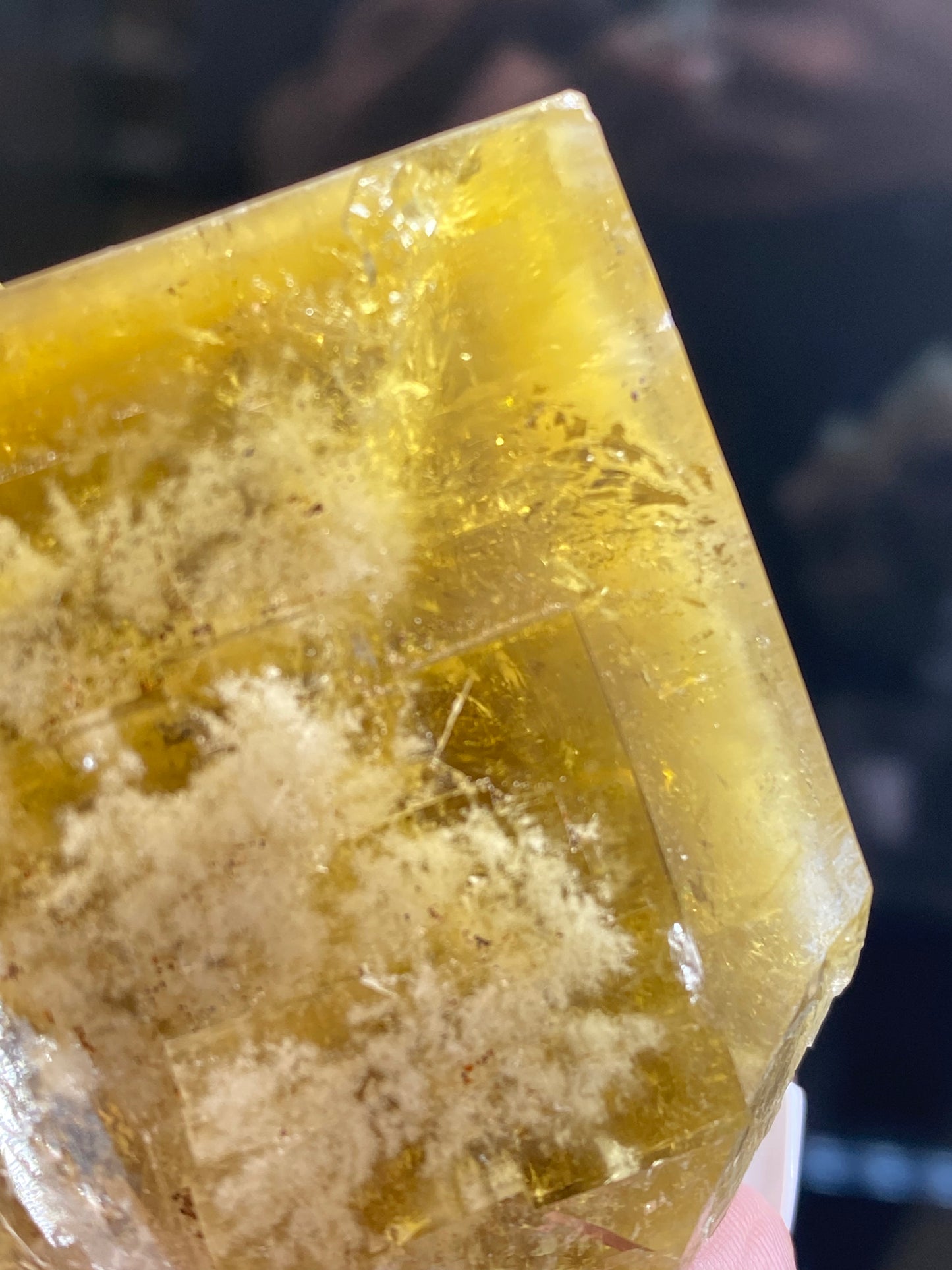 A close-up shows a hand holding the Fluorite- Honey Bear Pocket from The Crystalary, sourced from the Diana Maria Mine in Frosterley, Weardale, Co. Durham, England. This golden honey yellow crystal features white, cloudy inclusions and boasts sharp, angular edges with a glossy surface that beautifully reflects light against the dark, out-of-focus background. SKU: 3023.