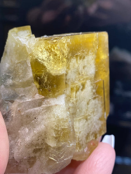 A close-up reveals a hand holding a translucent golden honey yellow crystal with angular lines from The Crystalary's collection. This Fluorite crystal, sourced from the prestigious Honey Bear Pocket at Diana Maria Mine in Frosterley, Weardale, Co. Durham, England (sku 3023), features a rough surface that brilliantly catches the light, highlighting its intricate facets and textures.