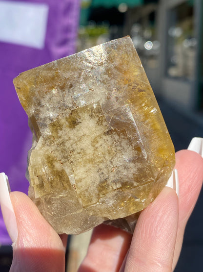 A hand with perfectly manicured nails holds a sizable piece of Fluorite from the Honey Bear Pocket, expertly sourced from the Diana Maria Mine. The backdrop is softly blurred, highlighting sunlit greenery and distant buildings. This exquisite crystal is offered by The Crystalary under sku 3023.